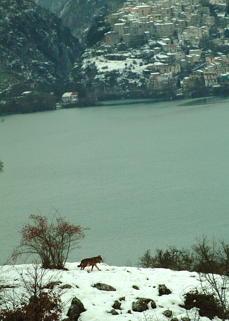 Laghi...dell''ABRUZZO